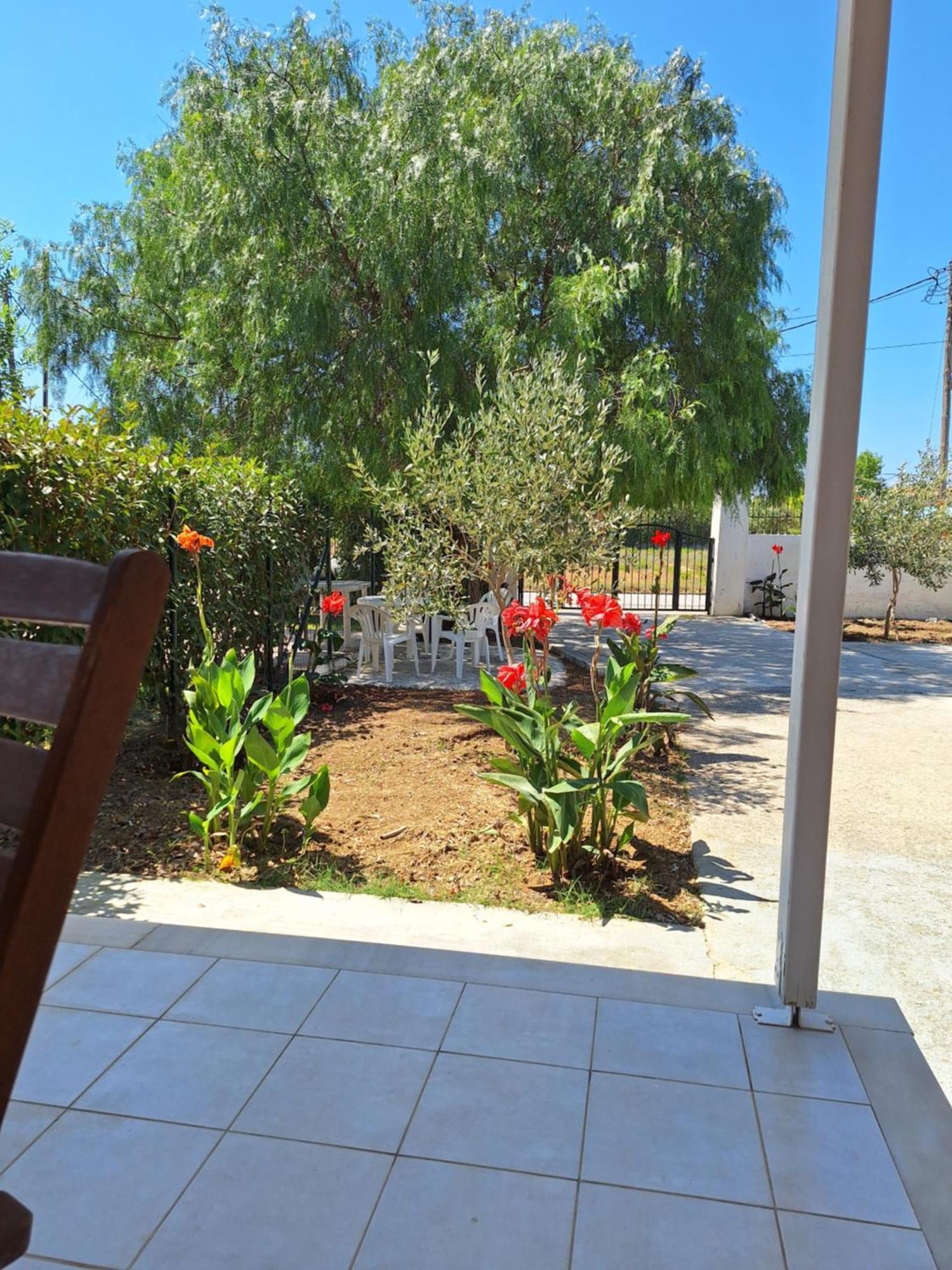 Ioanna'S House Βίλα Άγιος Γεώργιος Εξωτερικό φωτογραφία